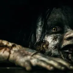 Filmy od 21 lat: Kontrowersyjne kino tylko dla dorosłych
