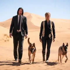 Psy w John Wick 3 - poznaj wyjątkowe czworonogi z kultowych scen akcji